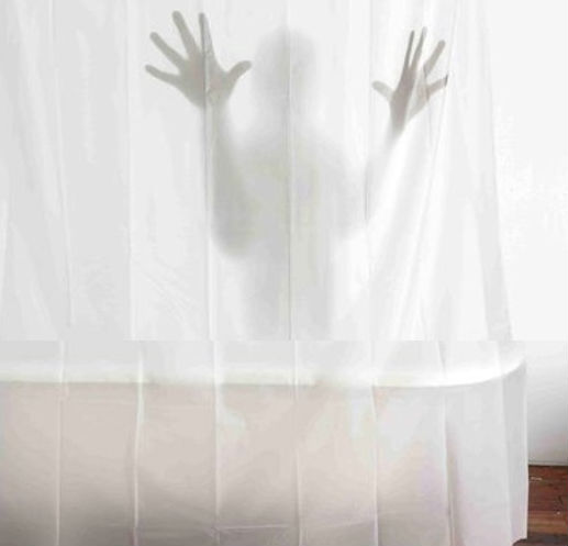 Scary Shadow Shower Curtain - Shut Up And Take My Money